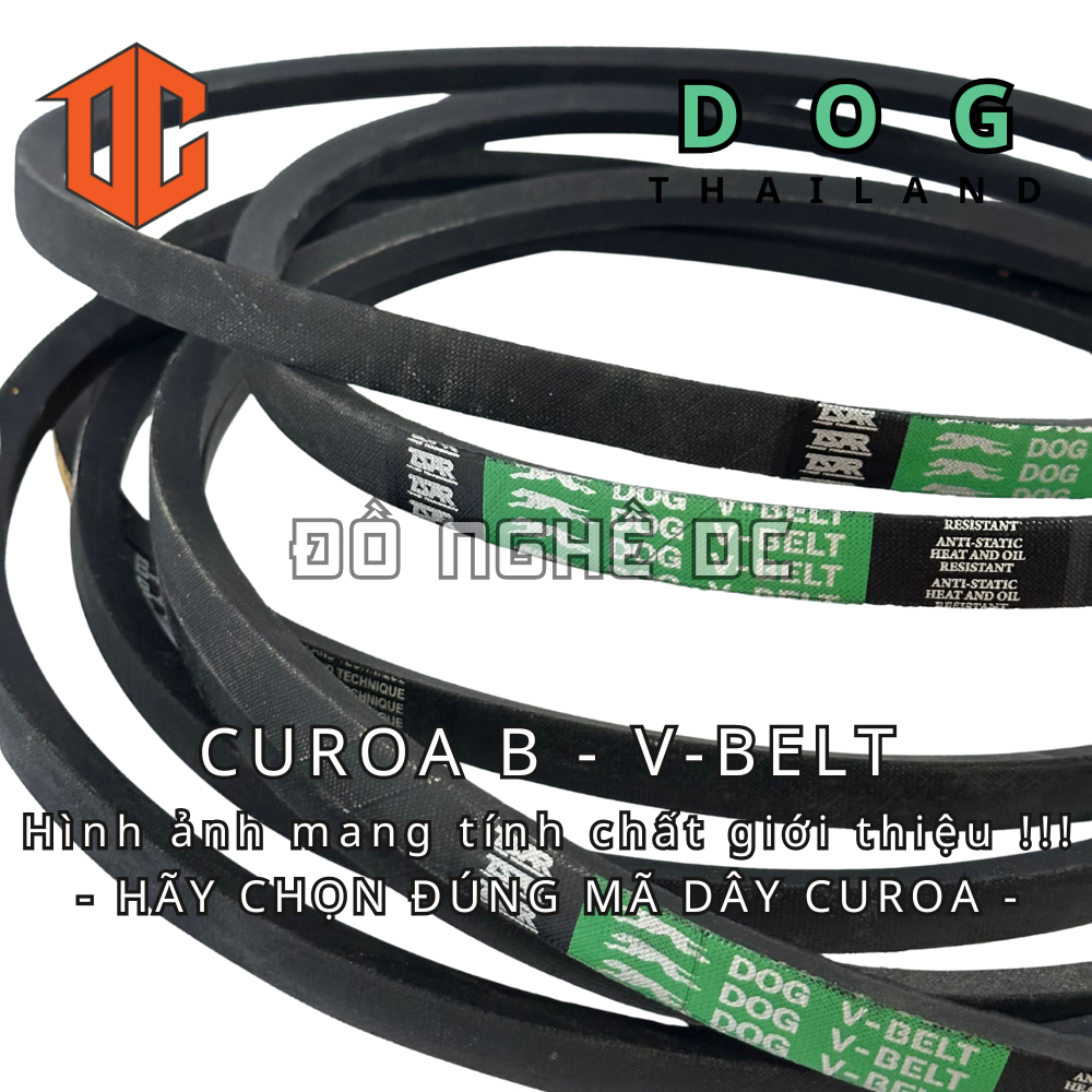 Sợi curoa trơn thường Thailand - DOG B58 B37 B36 B95 B90 B56 B30 B57 B96 B61 B37 B48 B61 B72 B21 B54