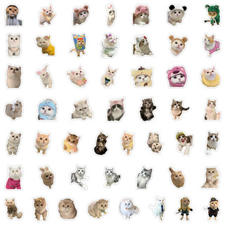100 sticker hình mèo trang trí đáng iu.
