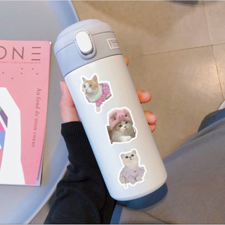 100 sticker hình mèo trang trí đáng iu.