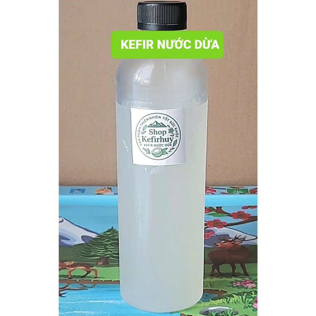 NƯỚC DỪA KEFIR – GIÀU PROBIOTIC TỰ NHIÊN TỪ NẤM MEN KEFIR