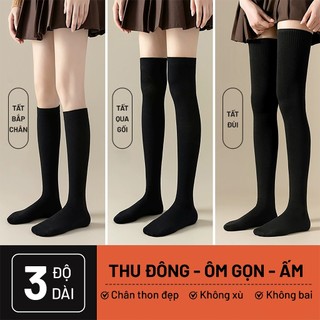  Tất đùi nữ giữ ấm không bí không tuột phối váy phong cách Hàn dày mịn co giãn tất bắp chân Hamyn 