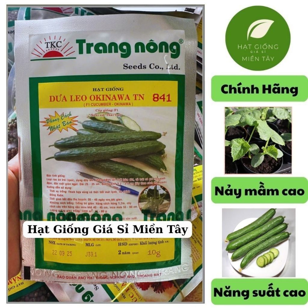 (Gói 10 gram) Hạt Giống Dưa Leo Nhật OKINAWA TN 841 TRANG NÔNG - Dưa leo Nhật Bản