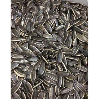 Hạt Hướng Dương Rang Mộc – Hạt Lớn – Nhân Đầy – Snack Ăn Vặt