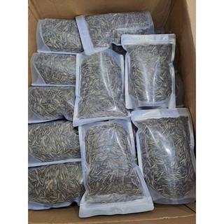 Hạt Hướng Dương Rang Mộc – Hạt Lớn – Nhân Đầy – Snack Ăn Vặt