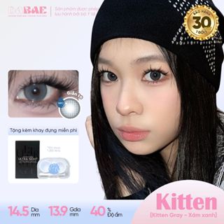 Lens giãn tròng DABAE mắt màu xám xanh kính áp tròng 3 tháng DIA 14.5mm độ 0-8 1 chiếc KITTEN GRAY