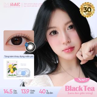  Lens giãn tròng DABAE màu trà đen lens DIA 14.5mm 3 tháng có độ 0-8 BLACKTEA 