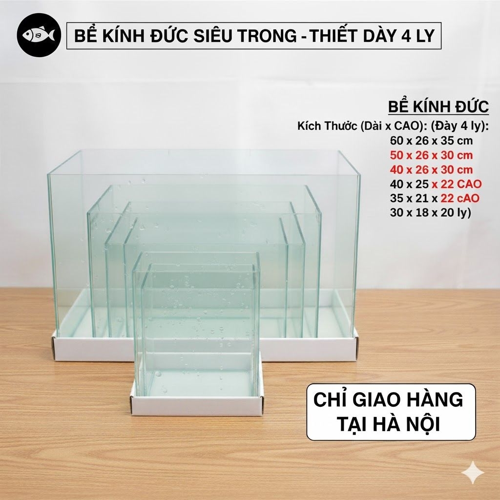HỎA TỐC HN: Bể Kính Đúc Cao Cấp 4 Ly | Size 60-50-40-35-30 | Bể Cá Mini Thủy Sinh