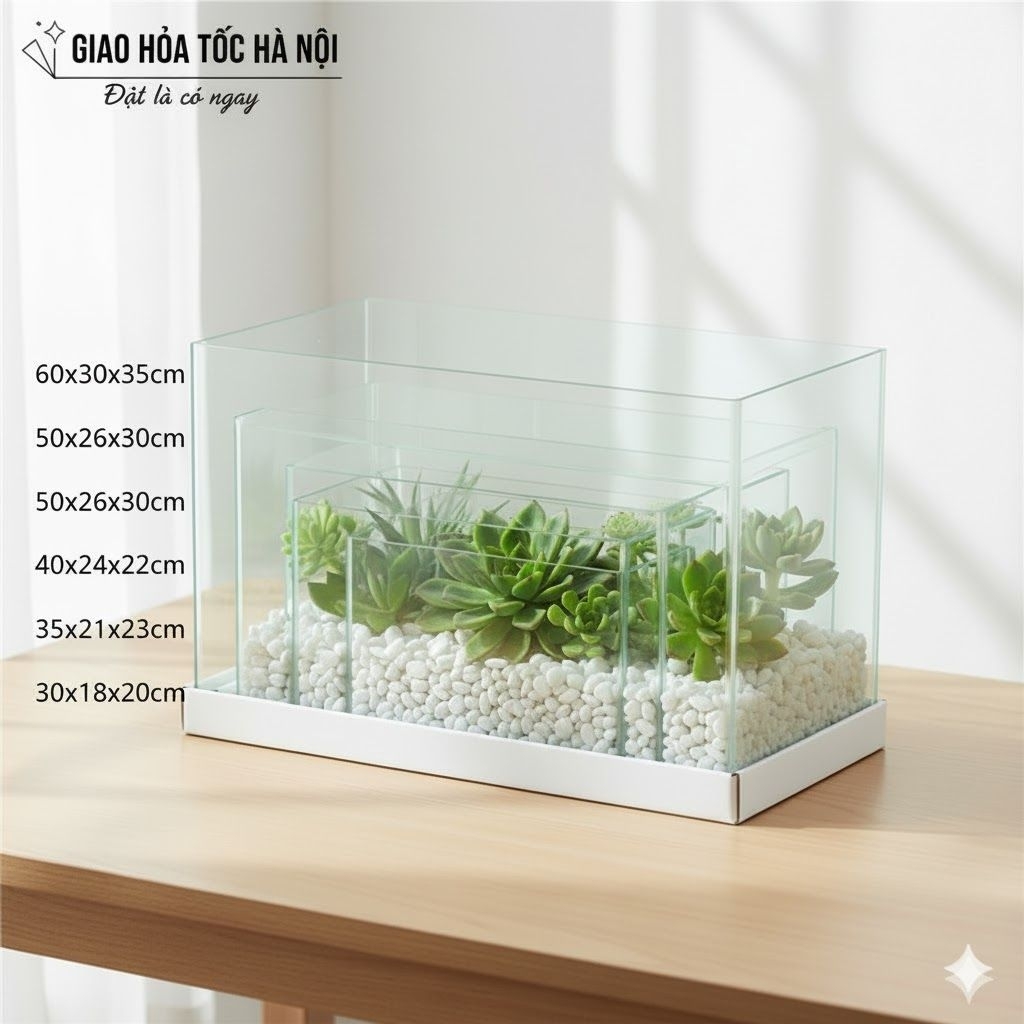 HỎA TỐC Hà Nội: Bể Kính Đúc 4 Ly [Size 60-50-40-35-30] | Bể Cá Mini | Hồ Thủy Sinh