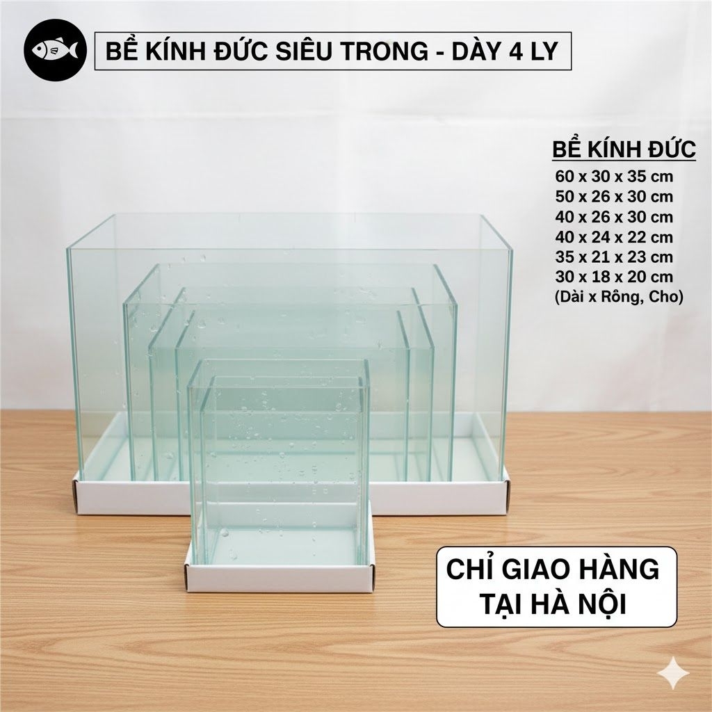 Bể Kính Đúc Cao Cấp HỎA TỐC HN | Kính 4 Ly | Bể Cá/Thủy Sinh Mini | Size 60-50-40-35-30