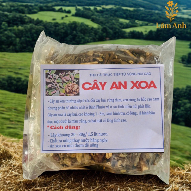 1Kg An Xoa Hoa Tím Hòa Bình (Sao Vàng Hạ Thổ) – Thảo Mộc Khô Tự Nhiên – Nấu Uống Hằng Ngày – Kết Hợp Xạ Đen, Cà Gai Leo