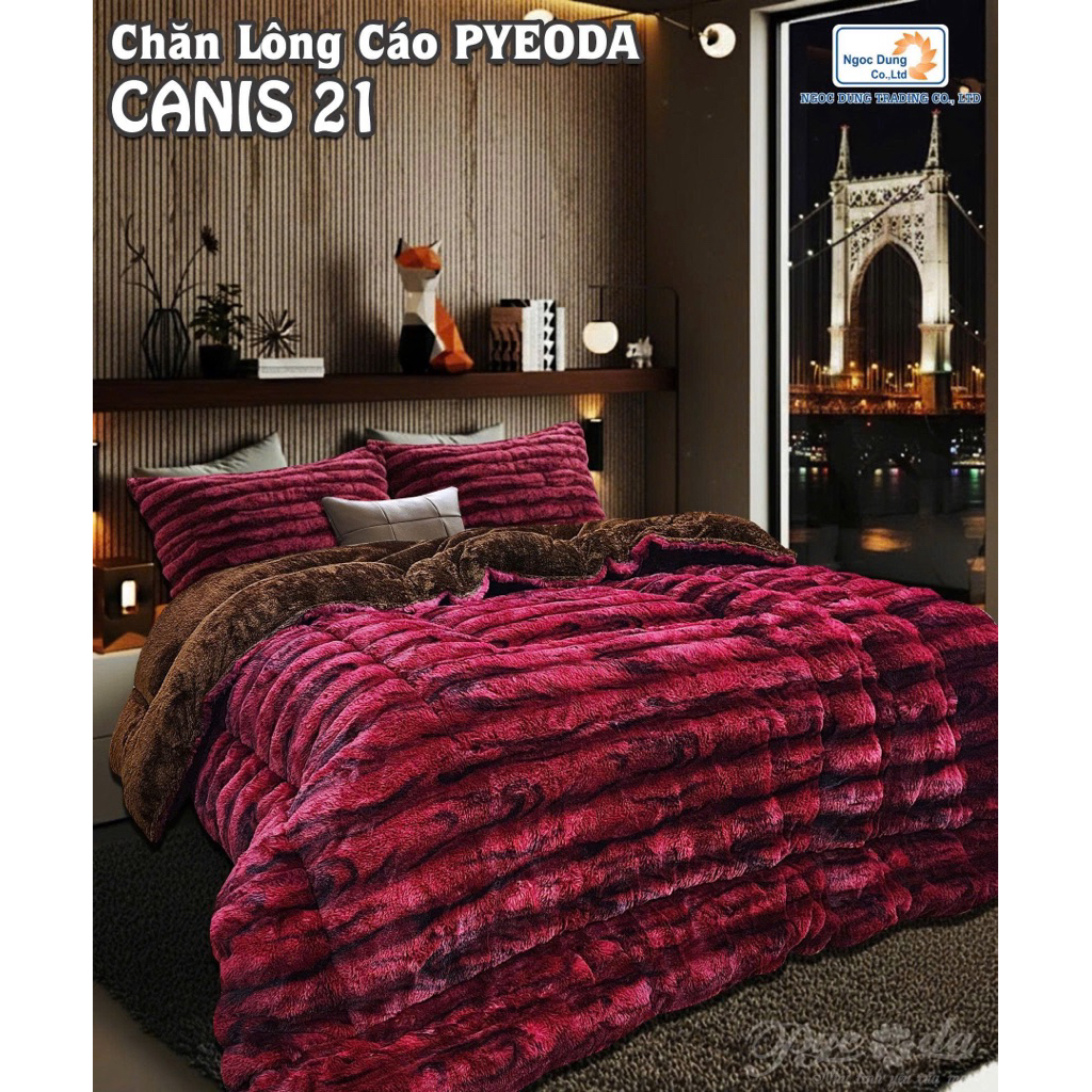 CHĂN LÔNG CÁO PYEODA – CANIS COLLECTION-Pyeoda như tình yêu của mẹ