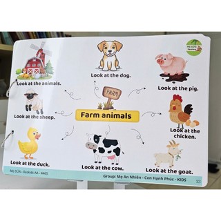 Sơ đồ Tư Duy Razkids - Fox