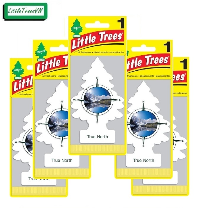 COMBO 5 CÂY THÔNG THƠM LITTLE TREES - True North