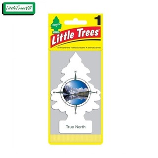COMBO 5 CÂY THÔNG THƠM LITTLE TREES - True North