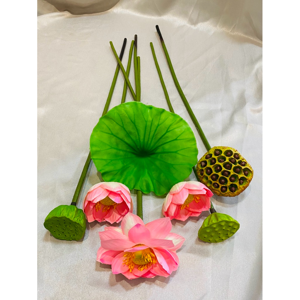 COMBO HO SEN LỤA A1