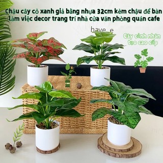 Chậu cây cỏ xanh giả bằng nhựa 32cm kèm chậu để bàn làm việc decor trang trí nhà cửa văn phòng quán cafe