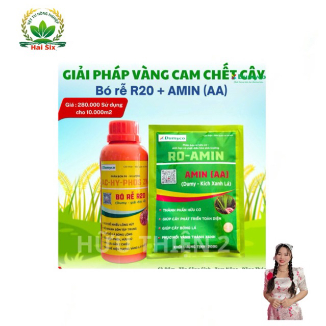 Bộ đôi 1 Chai BÓ RỄ R20+ 1 Gói AMIN Kích xanh lá sử dụng 1hecta (VÀNG CAM CHET CÂY)