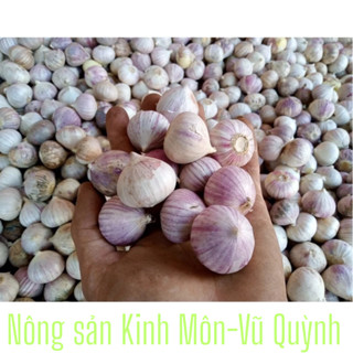 Tỏi cô đơn size to phân loại 0.5 kg và 1kg .