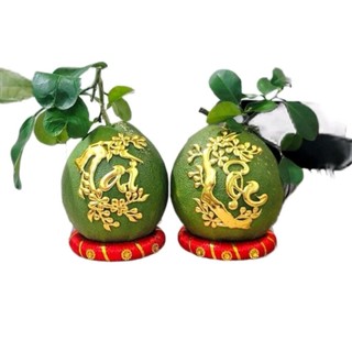 1 cái đế chưng dừa, bưởi, dưa hấu