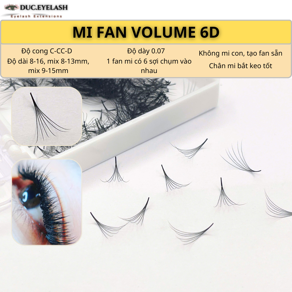Mi fan sẵn 6D, dày 0.07 cong C-CC-D, mi fan volume, Lông Mi Nhân Tạo, dụng cu nối mi / Đức Eyelash