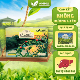  Trà Cà Gai Leo Túi Lọc Ammu Trà Thảo Mộc Mát Gan Thanh Nhiệt Giảm Mất Ngủ Mỡ Máu Cải Thiện Gan Hộp 100 túi 