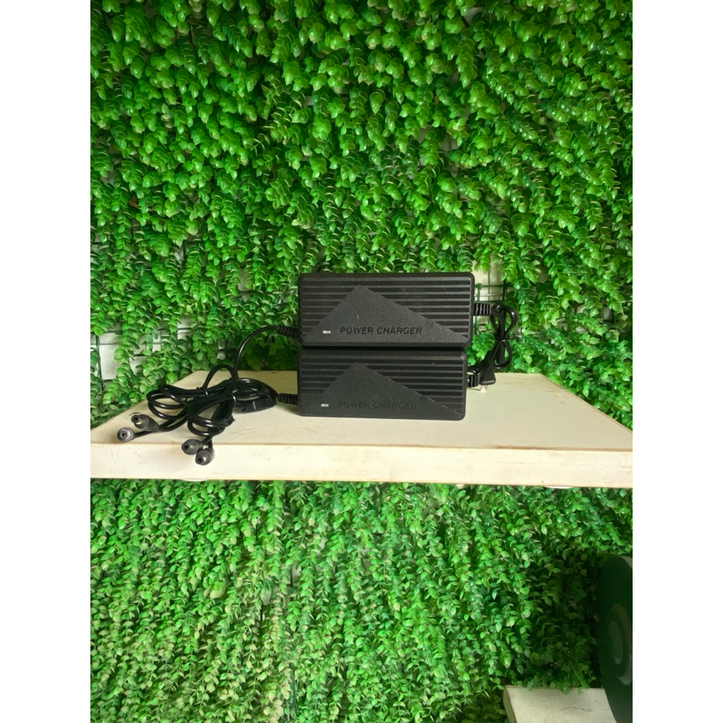 Sạc nhanh 3a , 2 cổng ra , 21v sạc pin 10cell , 15cell ,20cell ,30cell , có quạt tản nhiệt