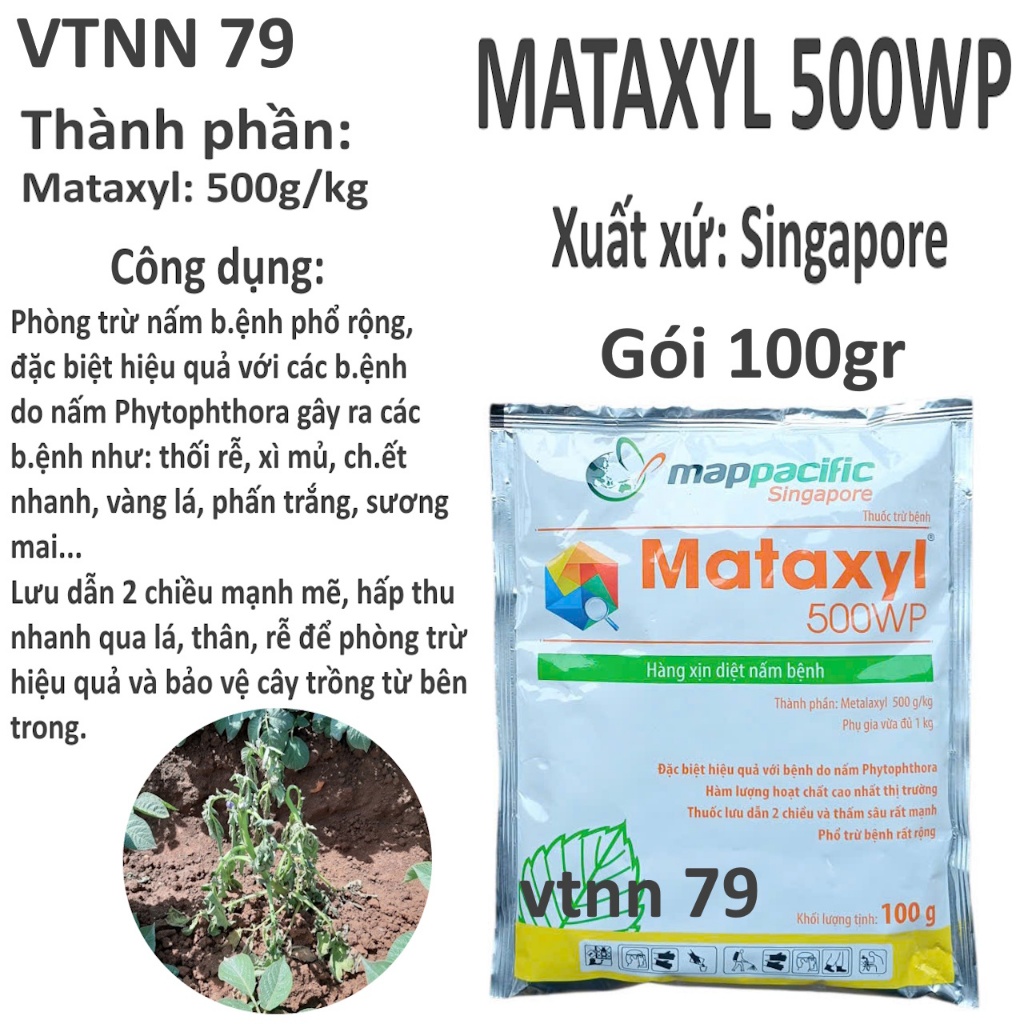 MATAXYL 500WP GÓI 100G. CHUYÊN TRỪ NẤM PHITOPHTHORA