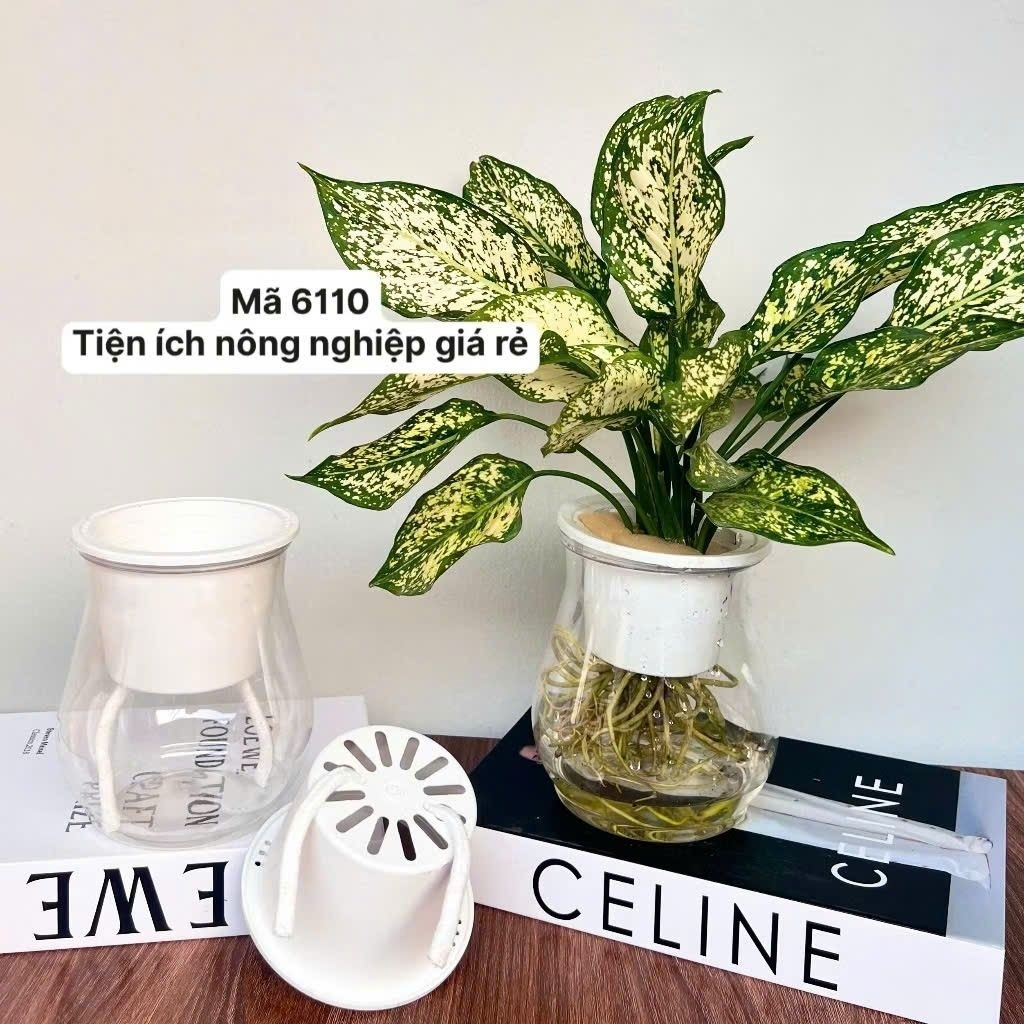 COMBO 3 Chậu trồng cây thông minh, chậu tự tưới trồng cây để bàn kích thước 11x13 mã 6110