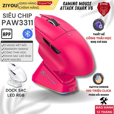 Chuột Không Dây Gaming Ziyou Attack Shark V6 Chip PAW3311, Sạc Nam Châm RGB, 1000Hz, Switch Omron