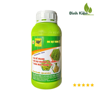 Phân bón ĐẦU TRÂU MK HẠT VÀNG 1 (500ml). Ra rễ mạnh, nở bụi, đứng lá, mập thân, đòng to.
