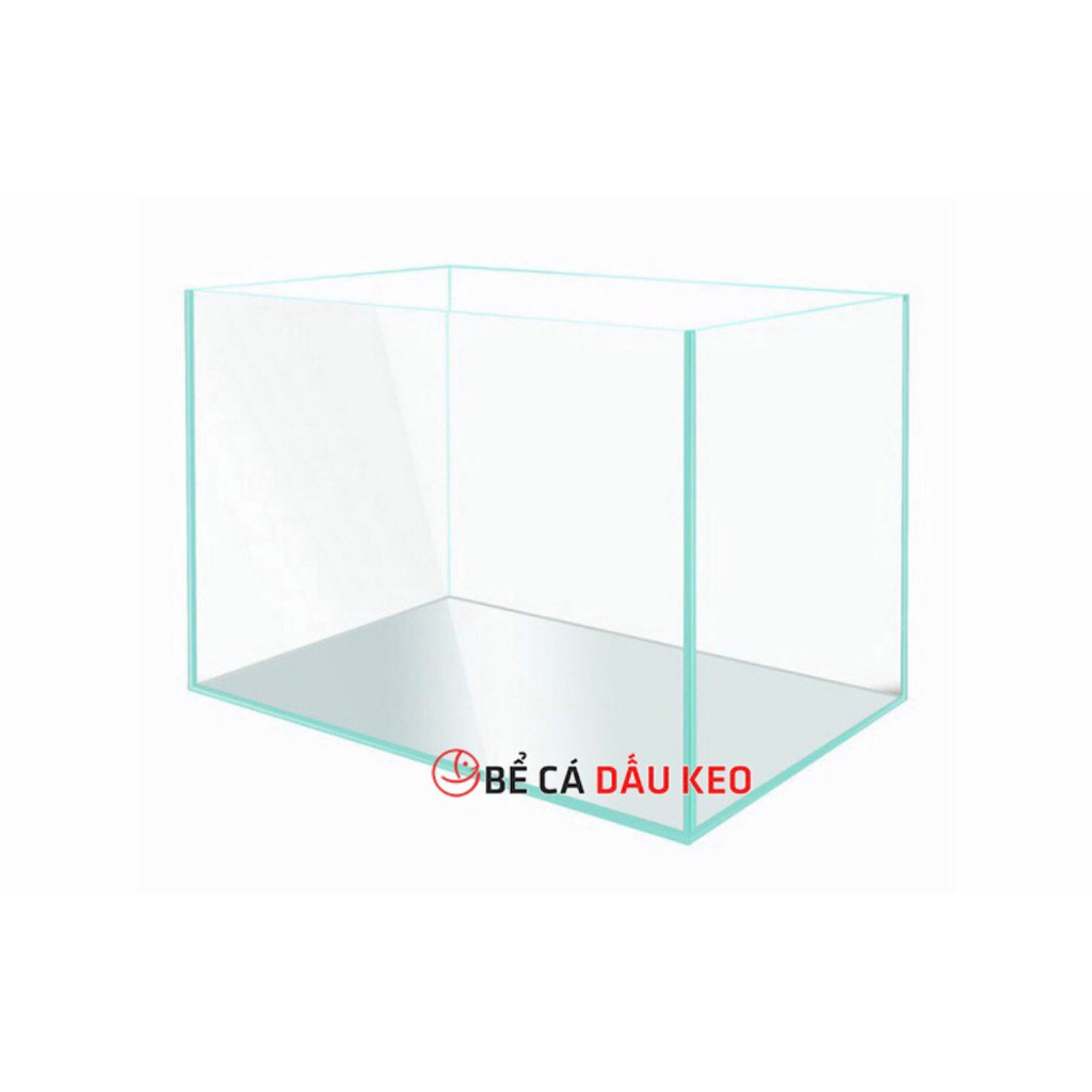 Bể cá 45x25x25 kính 5li mvt trước sau.