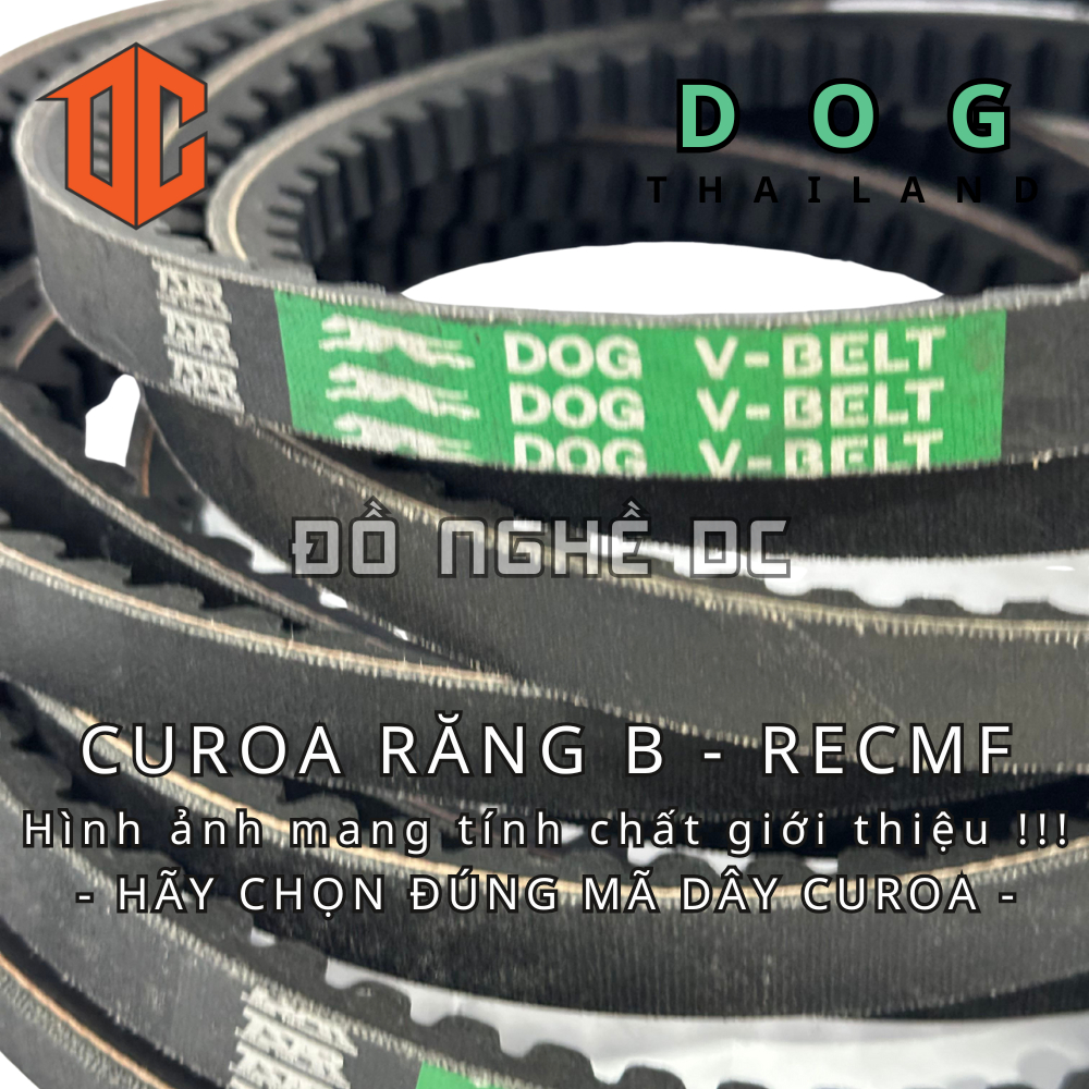 Sợi dây curoa RECMF Thailand DOG B57 B38 B72 B51 B60 B28 B28 B70 B64 B22 B20 B22 B71 B27 B88 B27 B58