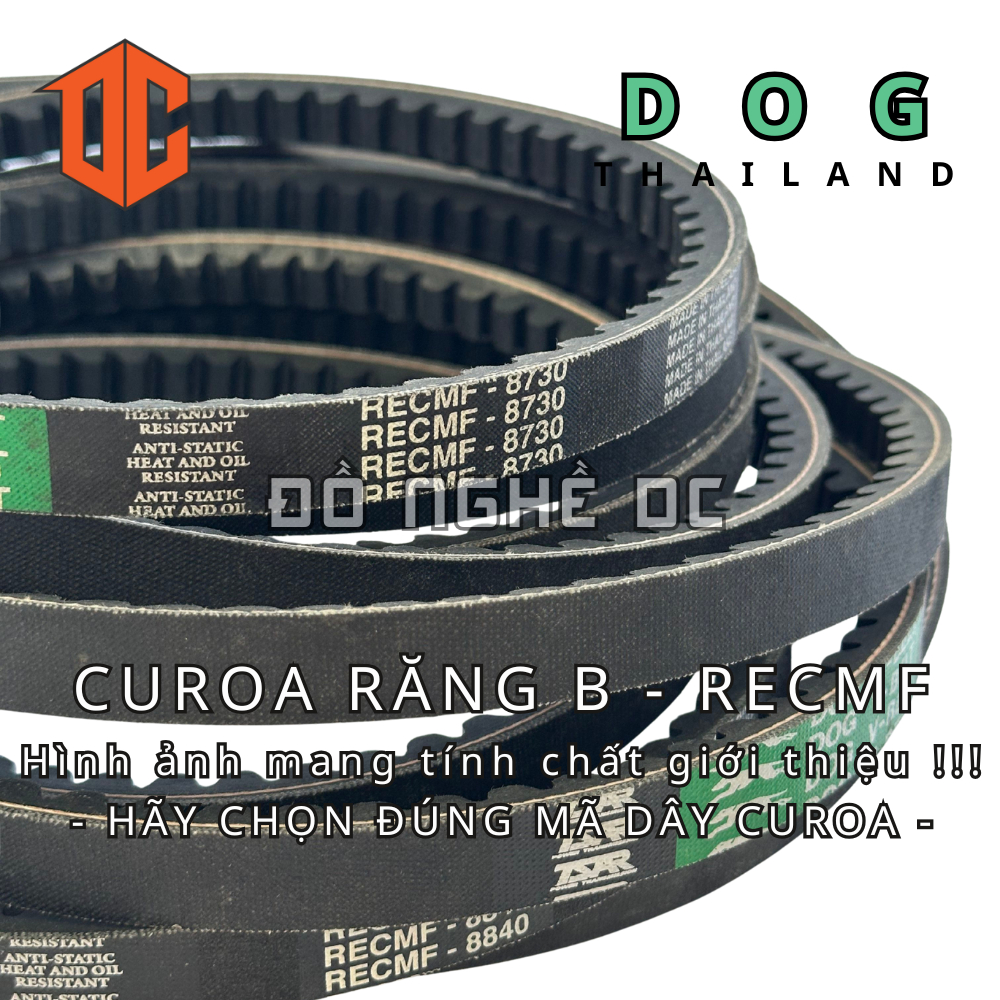 Dây curoa răng RECMF DOG B67 B79 B50 B72 B46 B95 B99 B41 B61 B26 B99 B75 B32 B79 B99 B43 B63 B82 B33