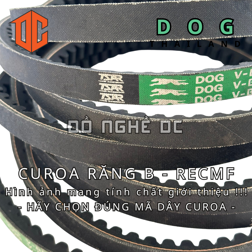 Sợi curoa răng RECMF DOG Thái lan B54 B77 B94 B30 B61 B81 B91 B46 B97 B85 B26 B35 B65 B45 B71 B41 B9