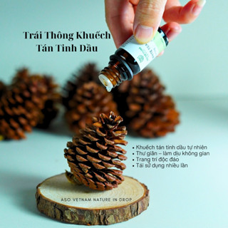 Trái Thông Tự Nhiên Khuếch Tán Tinh Dầu - Trang Trí Decor -Tỏa Hương Thơm Thư Giãn-Dùng Cho Xe Hơi-Phòng Ngủ-Quà Tặng
