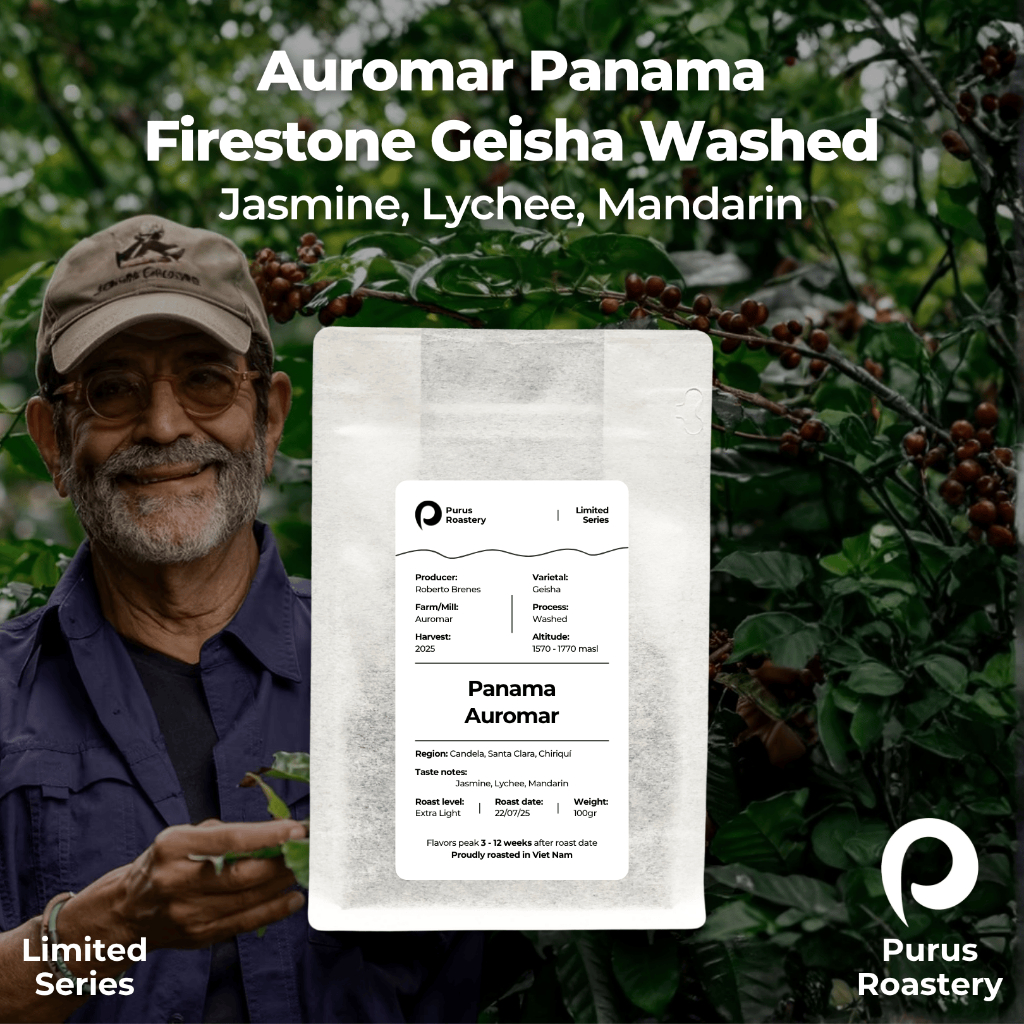 [LIMITED] Cà phê đặc sản Panama Auromar | Giống Geisha sơ chế Washed | Extra Light Roast