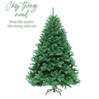  Cây thông noel fullsize đủ phụ kiện cây thông trang trí tán rộng cao từ 1m2 đến 1m8 chất liệu PVC 