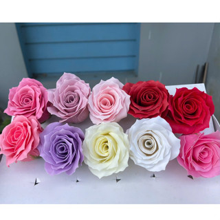  Hoa sáp Vũ Nữ VIP Hộp 50 bông hàng Trung loại 1 