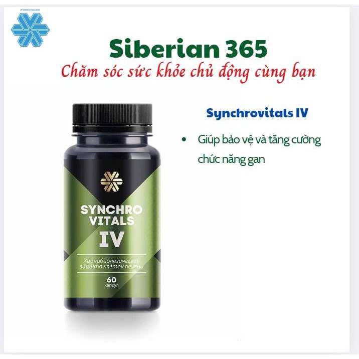 [Hỗ trợ gan] Syn 4 - Thực phẩm bảo vệ sức khỏe Synchrovitals IV siberian- Siberian Wellness –60 viên