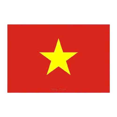 CỜ TỔ QUỐC (720x1100)- vải phi đẹp - 1 lá