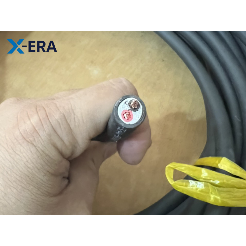 Dây cáp điện CADIVI CVV-2x4-300/500V