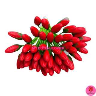NỤ MAI GIẢ, NỤ MAI ĐẤT SÉT
