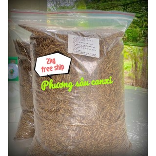 2kg sâu canxi (ấu trùng ruồi lính đen) sấy khô - chất lượng dinh dưỡng cao cho vật nuôi gà,chim,cá,vv..