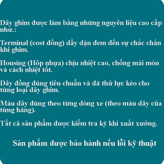 Cặp Dây Đuôi Đèn Xi Nhan trước Future Neo DENKI