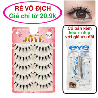  Lông mi giả gân trong 5 cặp JOYE kiểu Anime mắt ướt rẻ nhất thị trường  bao giá  