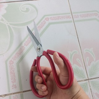 kéo làm cá, cắt gà cán đỏ