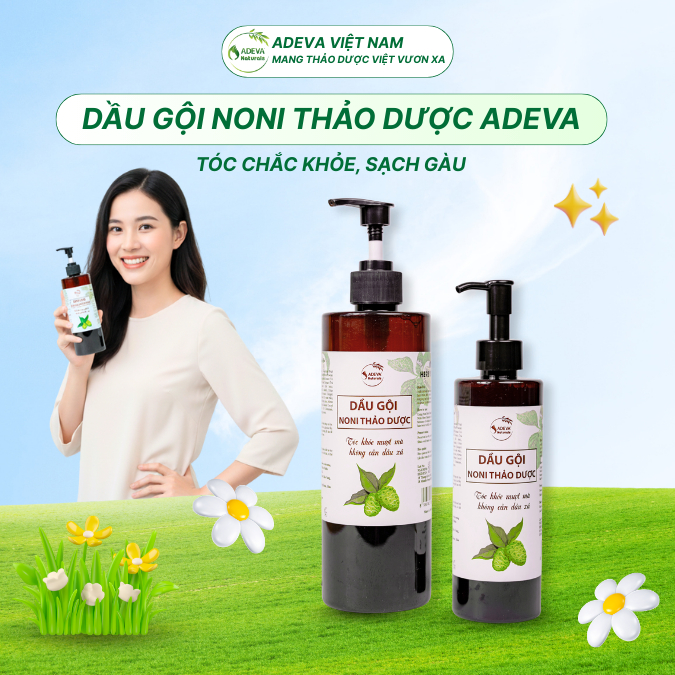 Dầu Gội Hỗ Trợ Bết Dầu, Gàu Nấm ADEVA 250ml/500ml, Chiết Xuất Trái Nhàu Và Dược Liệu thiên nhiên