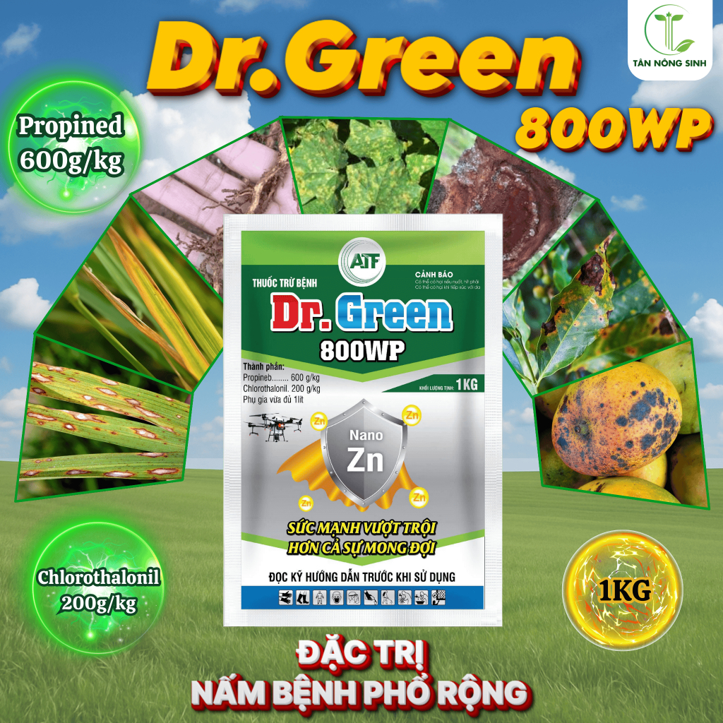 DR GREEN 800WP - Nấm bệnh phổ rộng - Thán thư, rỉ sắt, nấm hồng, lem lép, vàng lá, đốm vòng, sương m