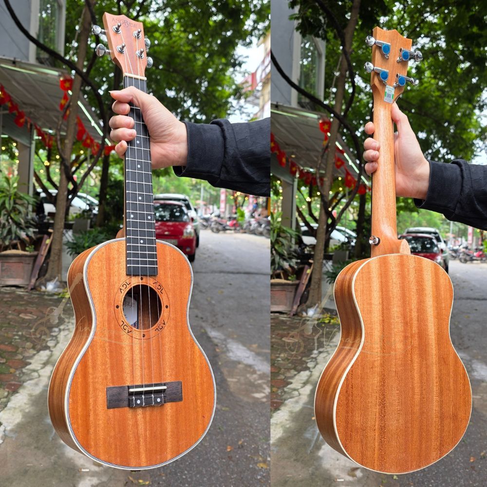Đàn Ukulele Concert Tenor Andrew C8 / C9 Kèm Phụ Kiện,  Bảo Hành 2 Năm
