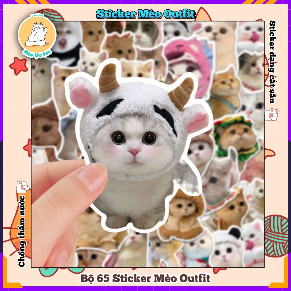 [SET 50] Sticker Mèo Chó Cheem Corgi meme hình dán Đa dạng, miếng dán trang trí điện thoại, laptop, 